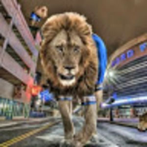 Meet your Posher, Monique